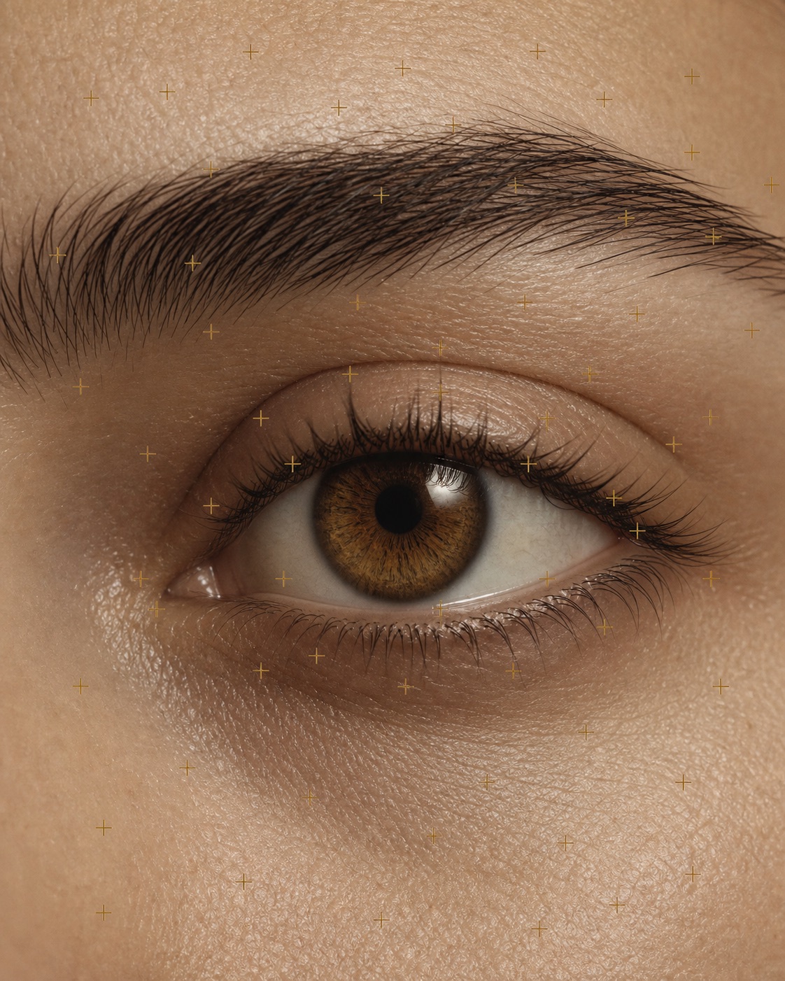 Macro photograph of an eye with brass landmark crosses placed across it